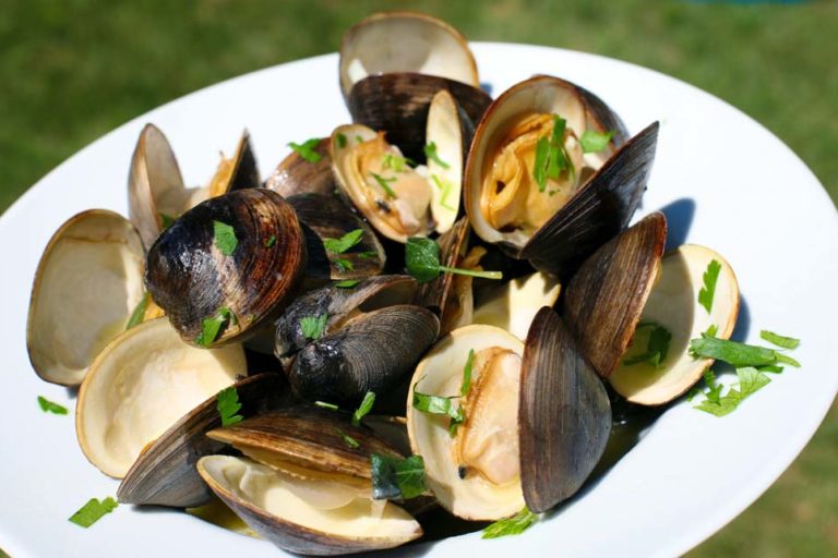 cooked clams